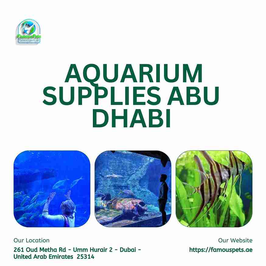 Top Aquarium Supplies in Abu Dhabi – Famous Pets for All Your Fishkeeping Needs.
