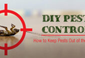 # Organic Pest Treatment – Low Cost in Dubai