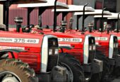 Brand New Massey Ferguson Tractors for Sale in UAE | Leading Farm Machinery Supplier