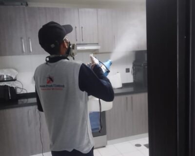 mosqutitoes-control-2