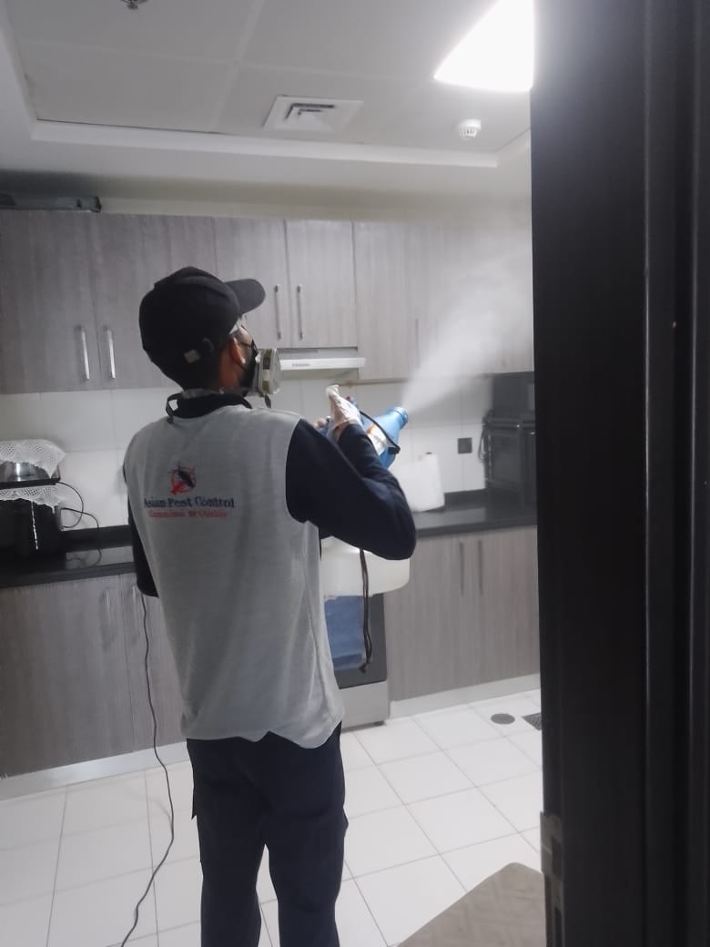 # Chemical & Organic Pest Control – Starting 99 Only