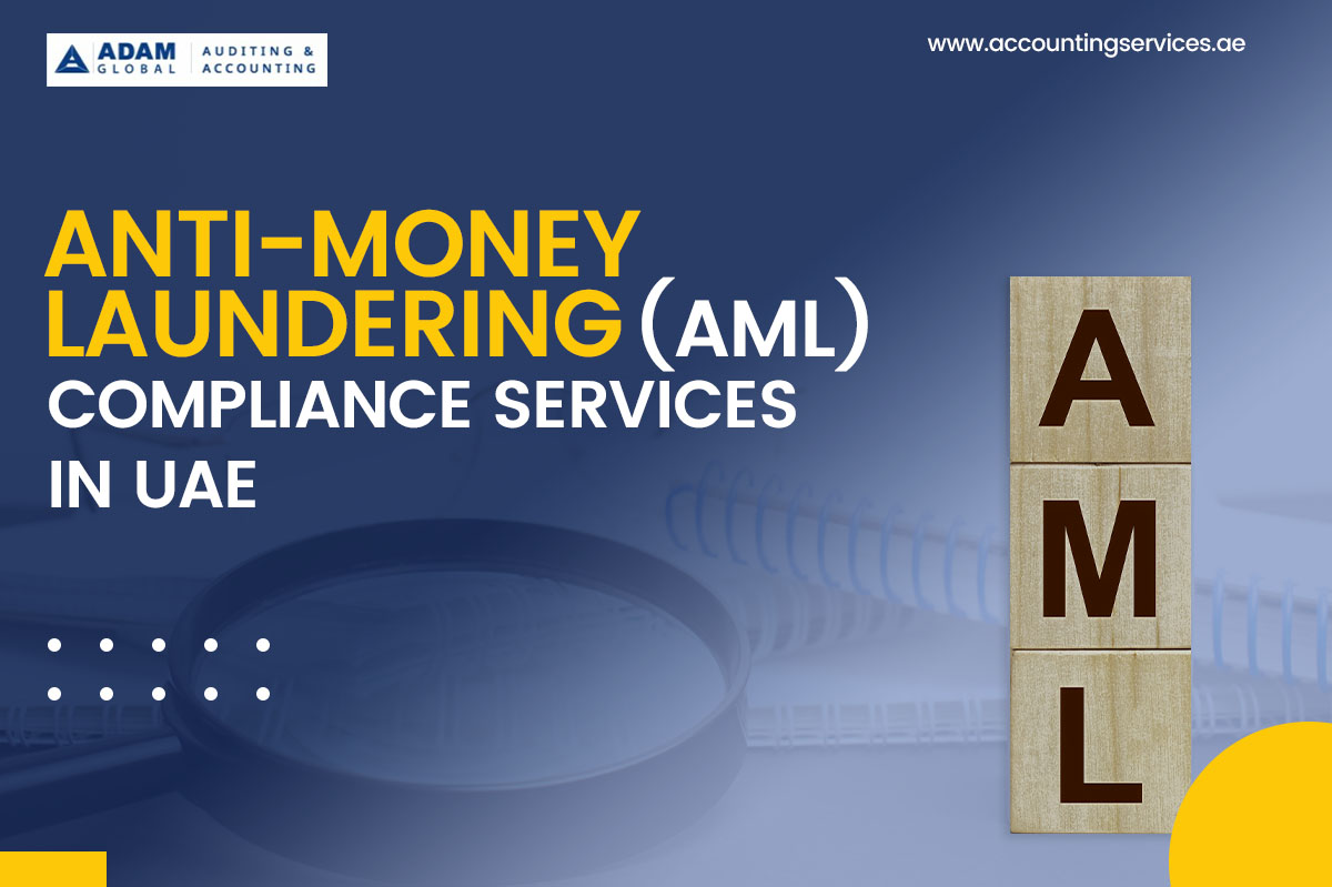 Anti-Money Laundering Consultant