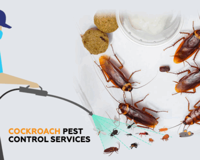 Chemical-Organic-–-30-Summer-OFF