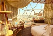 Top 10 Luxury Hotels in Dubai | Dubai Mangrove Resort Price