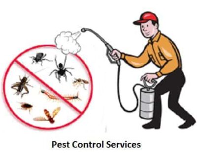 pest-control-services