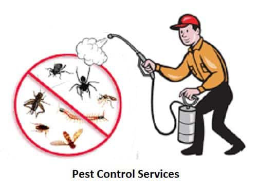 PEST CONTROL IN SHARJAH