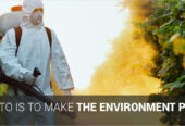 # Low Cost n Best Quality – Asian Pest Control