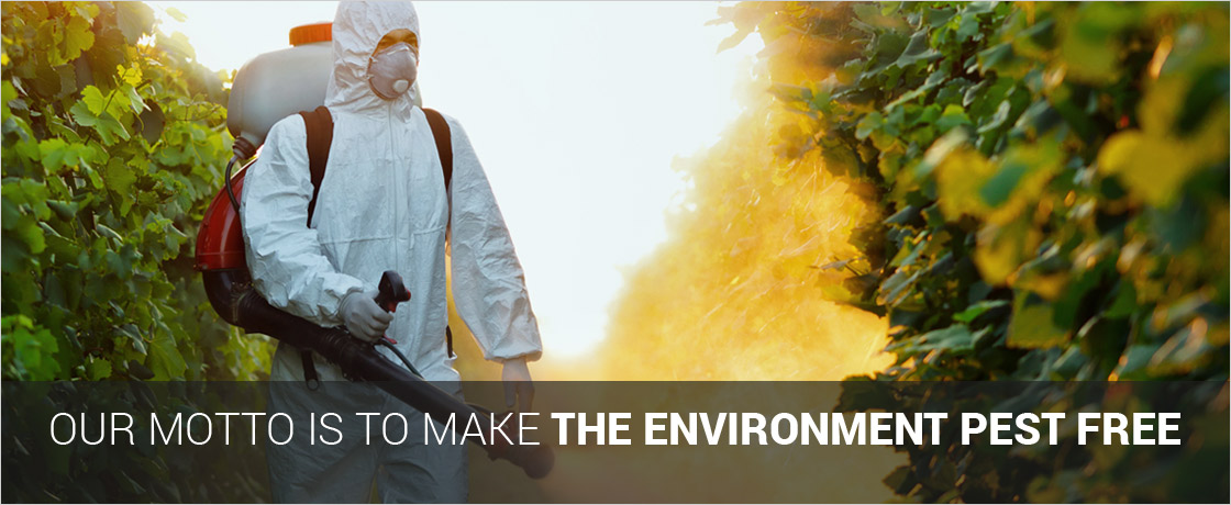# Low Cost n Best Quality – Asian Pest Control
