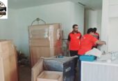 Expert Movers and Packers Dubai