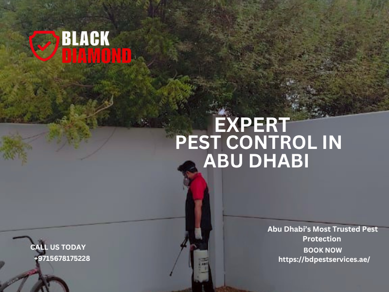 Black Diamond Pest Control – Trusted Pest Control Experts in Abu Dhabi