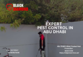 Black Diamond Pest Control — Where Safety Meets Excellence.