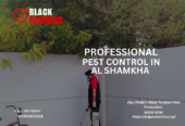 Black Diamond Pest Control — Where Safety Meets Excellence.