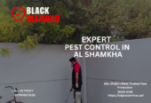 Black Diamond Pest Control — Where Safety Meets Excellence.