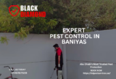 Black Diamond Pest Control — Where Safety Meets Excellence.