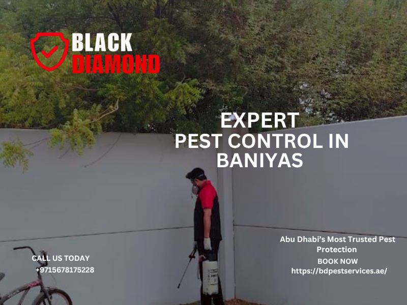 Black Diamond Pest Control — Where Safety Meets Excellence.