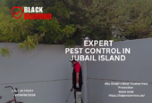 Black Diamond Pest Control — Where Safety Meets Excellence.
