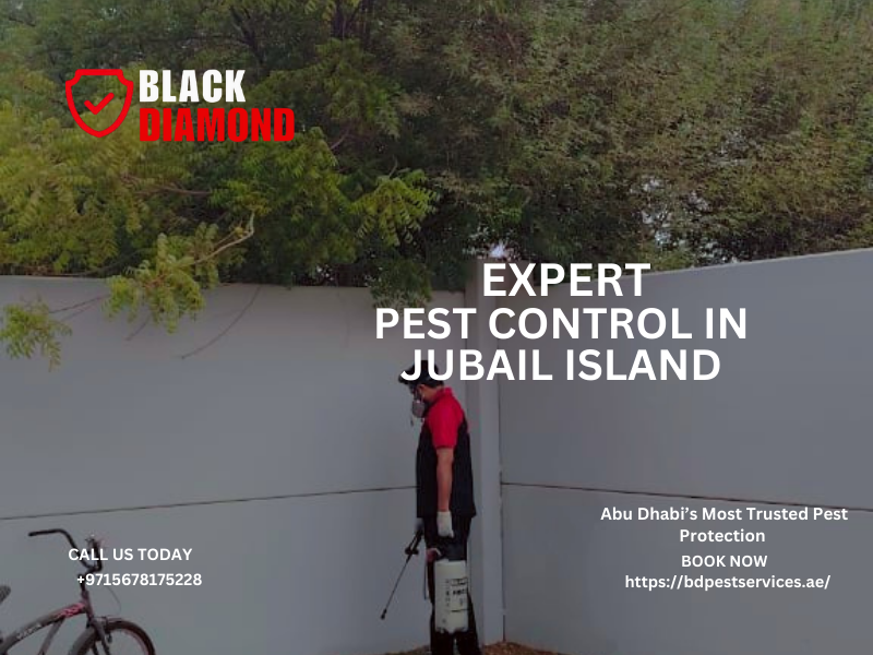 Black Diamond Pest Control — Where Safety Meets Excellence.