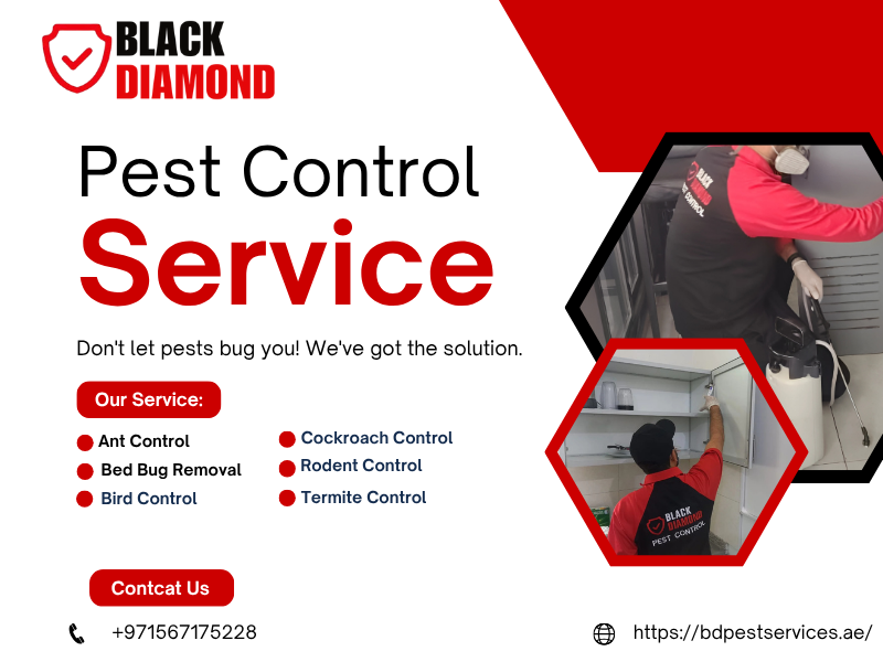 Black Diamond Pest Control — Where Safety Meets Excellence.