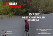 Black Diamond Pest Control — Where Safety Meets Excellence.