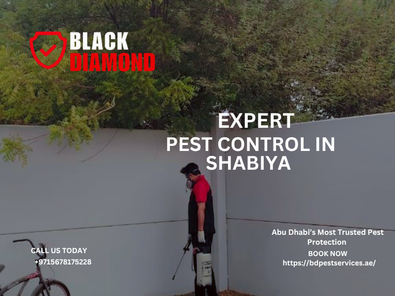 Black Diamond Pest Control — Where Safety Meets Excellence.