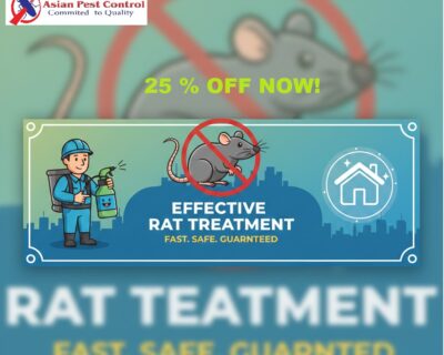 Rat-Pest-Control-Services