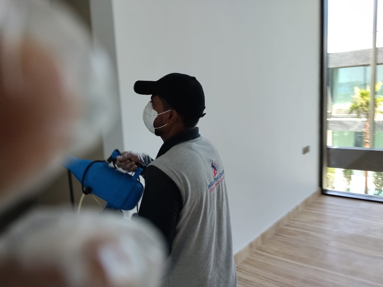 # Best Price & Quality – Pest Control Dubai