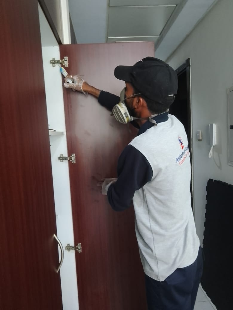 # Best Price & Quality – Pest Control Dubai