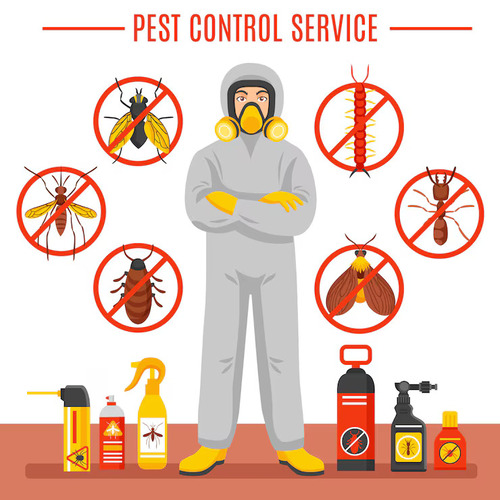 Long-Term Prevention Focused Best Pest Control Services by SMG
