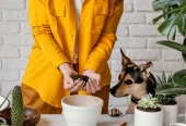 Hire Professional Butlers for Pet Feeding, Plant Watering & More, Starting 500 AED/ Month