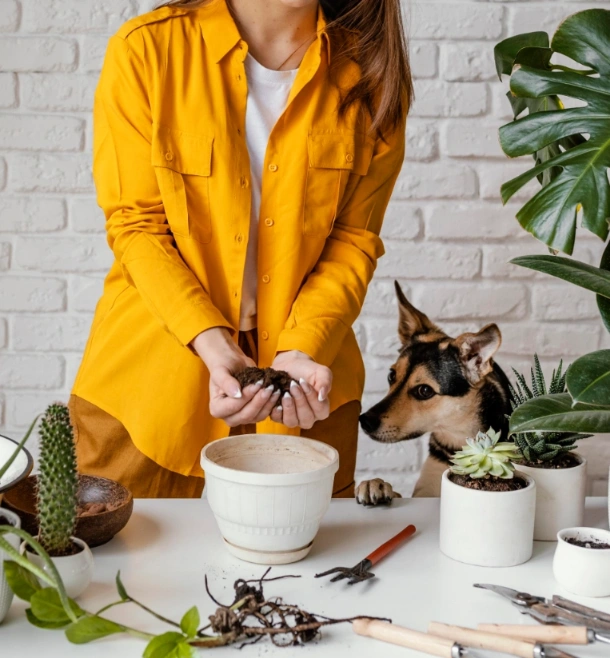 Hire Professional Butlers for Pet Feeding, Plant Watering & More, Starting 500 AED/ Month