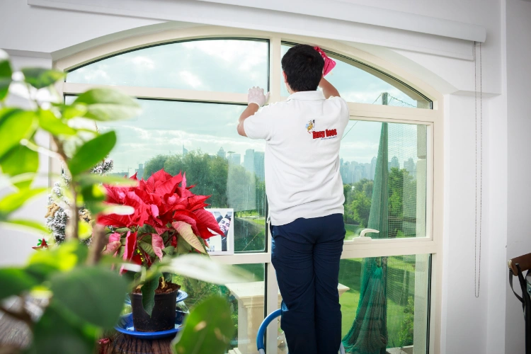Hire Professional Butlers for Pet Feeding, Plant Watering & More, Starting 500 AED/ Month