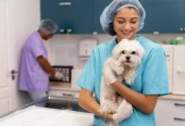 Hire Professional Butlers for Pet Feeding, Plant Watering & More, Starting 500 AED/ Month