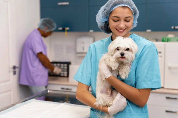 Hire Professional Butlers for Pet Feeding, Plant Watering & More, Starting 500 AED/ Month