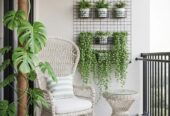 🌿 Premium Villa Landscaping & Garden Design Dubai | Baanpaa